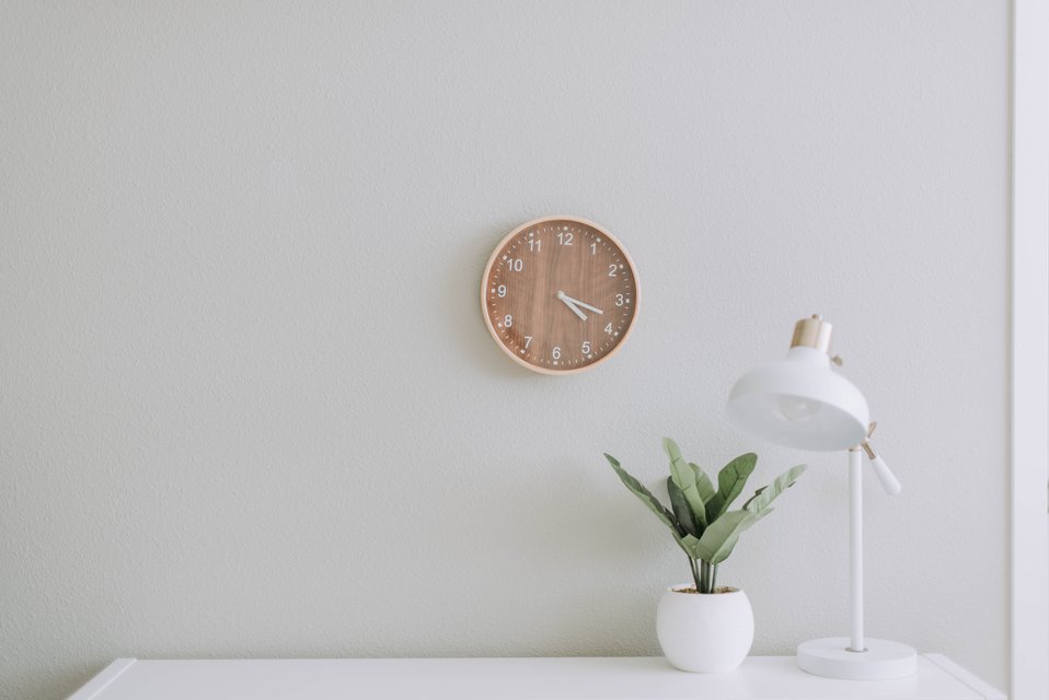 clock plant